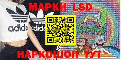 крисы Гатчина