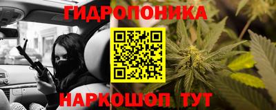 крисы Гатчина