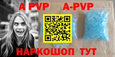 крисы Гатчина