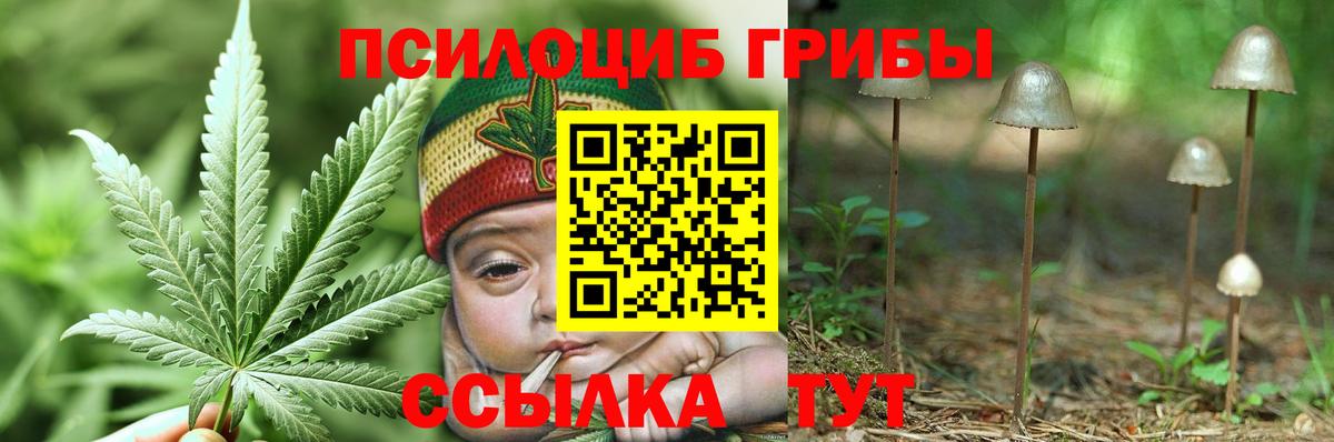 Мичуринск  Галлюциногенные грибы Psilocybe  цена   Вход с VPN  Псилоцибиновые грибы ЛСД 